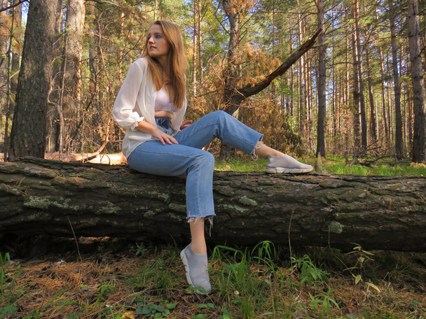 İpek bluz, beyaz sütyen ve mavi kot pantolon giymiş genç, sarışın bir kadın. Sonbahar ormanında devrilmiş bir ağacın gövdesinde. - Fotoğraf, Görsel