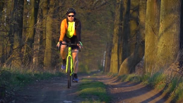 Silhouette di un ciclista su una bicicletta di ghiaia in sella a un sentiero nel bosco - Filmati, video