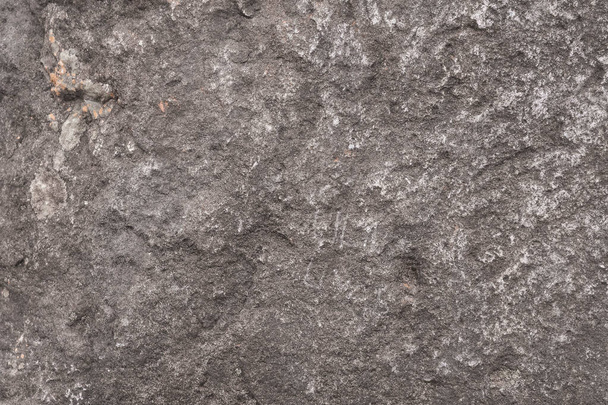 Abstract grunge concrete background for pattern. Grunge old rough cement wall texture. - 写真・画像
