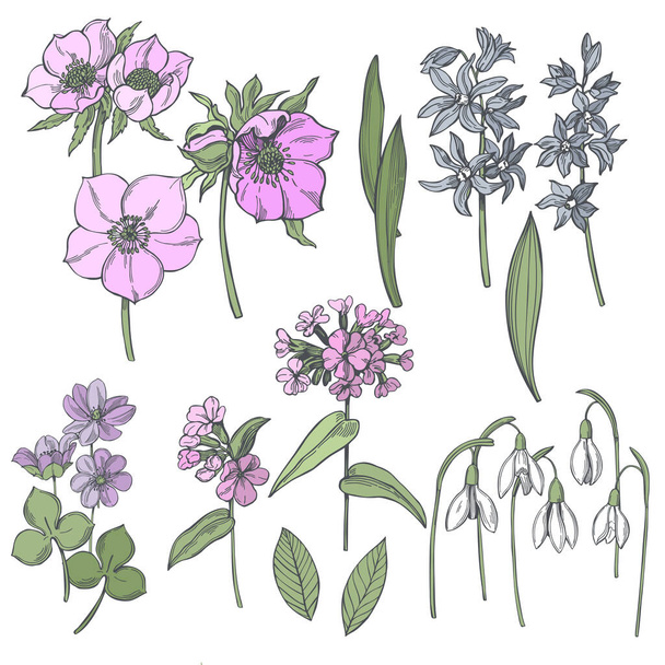 Hand-drawn spring flowers. Vector sketch  illustration. - Διάνυσμα, εικόνα