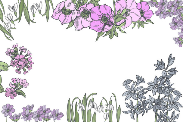 Vektorhintergrund mit handgezeichneten Frühlingsblumen. Skizzenillustration - Vektor, Bild