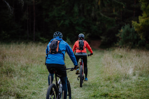 Rear view of active senior couple riding bikes outdoors in forest in autumn day. - Fotoğraf, Görsel