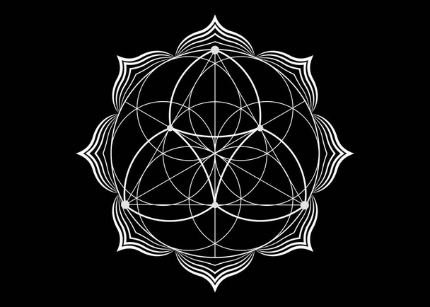 Seed Flower of life lotus icon, yantra mandala sacred geometry, tattoo symbol of harmony and balance. Mystical talisman, white lines vector isolated on black background  - Vector, Image
