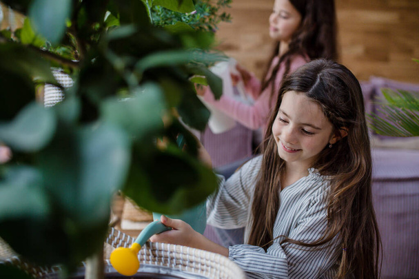 Happy little sisters watering plants indoors in conservatory. - Foto, afbeelding