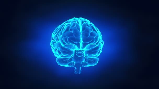 anatomía del cerebro humano
 - Metraje, vídeo