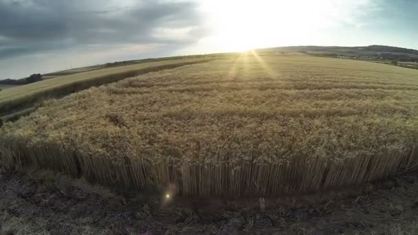 Puesta de sol sobre el prado
 - Imágenes, Vídeo