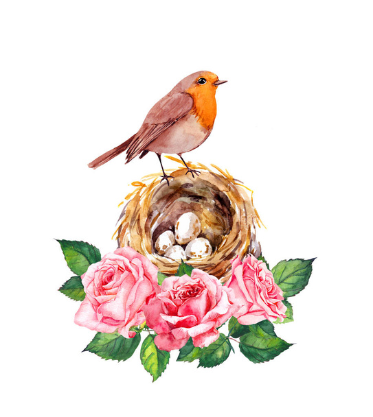 Bird and nest with eggs in pink rose flowers. Floral watercolor for Mothers day - Valokuva, kuva