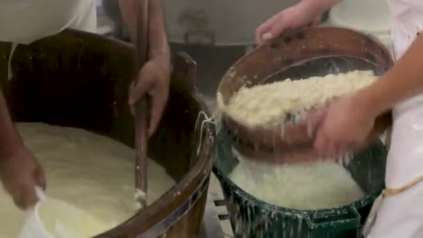 Handmade process production mozzarella cheese making manually cheese factory dairy food traditional mozzarella craft making local food manufacturing. Local traditional production cheese dairy produce - Footage, Video