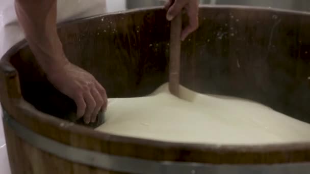 Handgefertigte Prozess-Produktion Mozzarella-Käse Herstellung manuell Käsefabrik Milchprodukte traditionelle Mozzarella Handwerk Herstellung lokaler Lebensmittel. Traditionelle Käsereiprodukte aus lokaler Produktion - Filmmaterial, Video