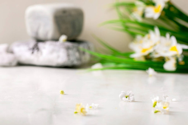 White marble table with small white flowers Kalanchoe, spring daffodils bouquet and textured stones behind. Creative layout, background for presentation - Φωτογραφία, εικόνα