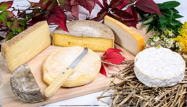 Erilaisia ranskalaisia juustoja tuotetaan Alppien vuoristossa - Valokuva, kuva