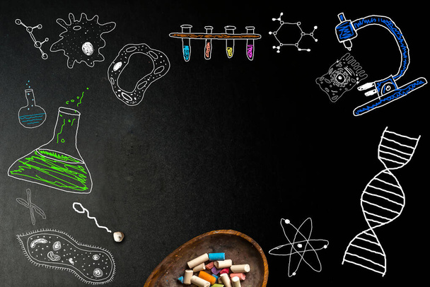 Biology sketches on school board. Fun hand drawn biology sketches on a black board and chalk with blank space for text - Фото, зображення