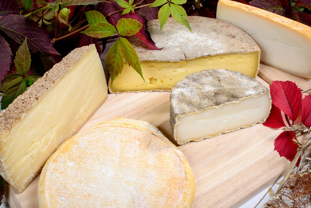 Různé francouzské sýry vyráběné v horách Alp - Fotografie, Obrázek