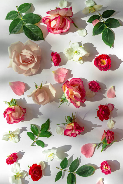 Letni wzór wykonany z pięknych pąków róż na białym tle. Koncepcja natury. Minimalny styl. Widok góry. Układy płaskie - Zdjęcie, obraz