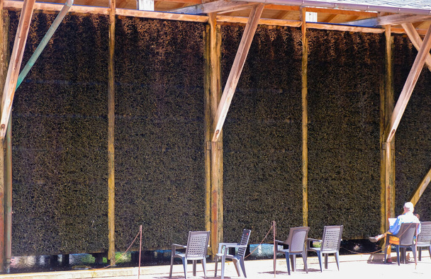 気候リゾートのスパパーク内のオープンエアの吸入器または生理食塩水。椅子の男は肺を治療する。強い太陽だ。悪いクロイツナハ,ラインラント・プファルツ州,ドイツ. - 写真・画像