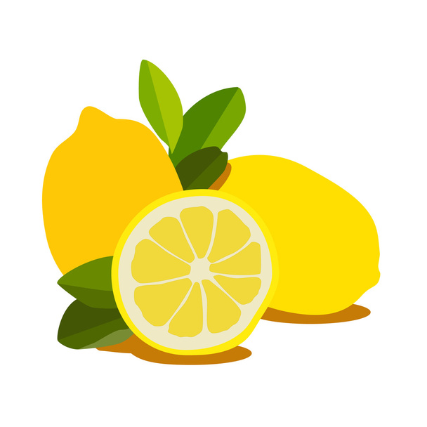 Lemon fruit - Διάνυσμα, εικόνα