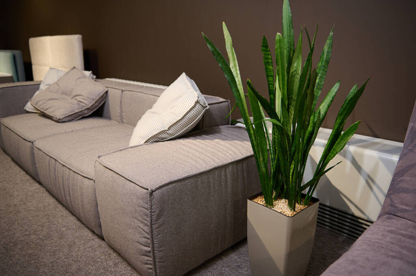 Акцент на большой удобный диван из высококачественных тканей и мягких подушек, выставленный на продажу в выставочном зале мебельного магазина. Дизайн интерьера, украшение гостиной - Фото, изображение