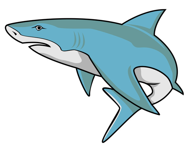 Blue shark - Vektör, Görsel