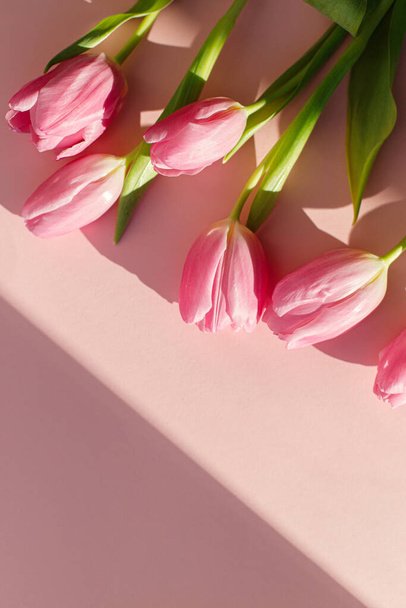 Tulipanes rosados a la luz del sol planas yacen sobre fondo rosa. Banner de primavera creativo moderno. Feliz día de las mujeres. Hola primavera. Feliz Día de las Madres. Tarjeta de felicitación floral con espacio para texto. 8 de marzo - Foto, imagen