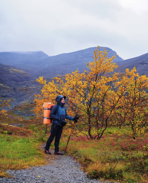 A woman with a backpack in the autumn season walks along a path in the mountains on a rainy day. photo - Foto, Bild