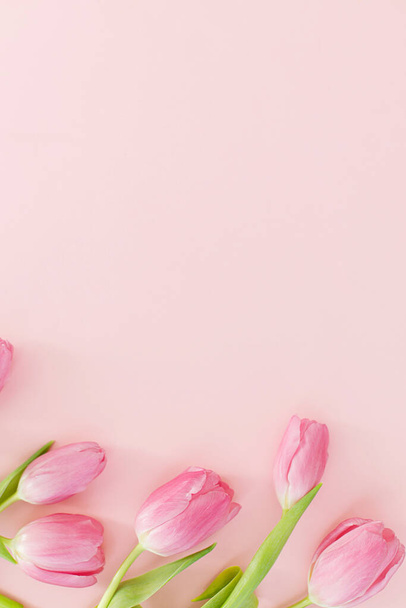 Floral Greeting card template with space for text. Pink tulips flat lay on pink background. Happy womens day. Happy Mothers day. 8 march. Stylish minimal tender spring image - Photo, image