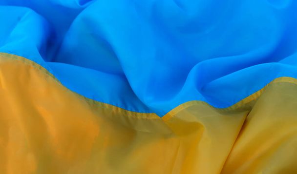 Flaga Ukrainy niebiesko-żółta leżąca na dojrzałej pszenicy. Żółte pole pszenicy na Ukrainie. Dzień Niepodległości Ukrainy, Dzień Flagi. - Zdjęcie, obraz