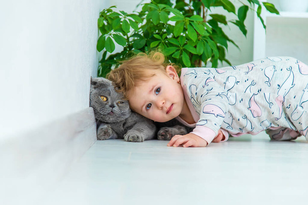 Baby is playing with the cat. Selective focus. Kid. - Photo, Image