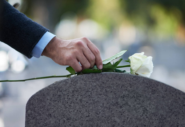 Выражаю свое почтение. Обрезанный снимок человека, помещающего белую розу на могилу. - Фото, изображение