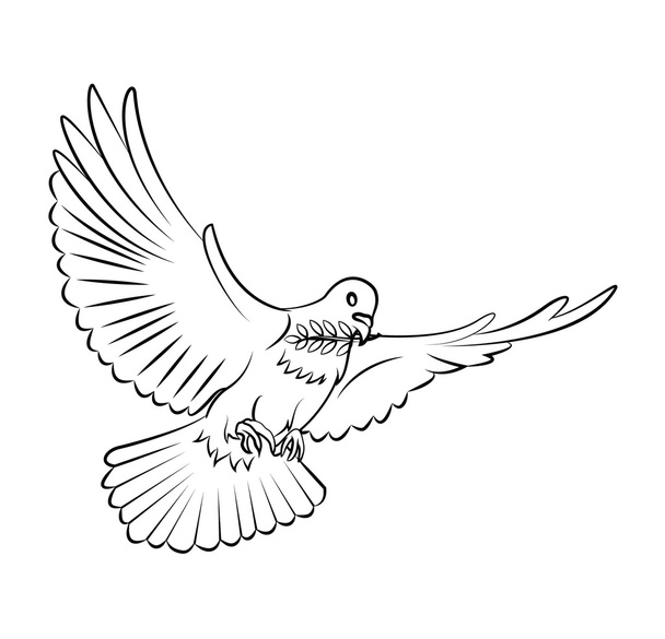 Dove Peace - Vector, afbeelding