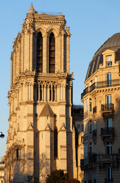 Wieże wspaniałej katedry Notre Dame na Ile de la Cite i paryskich domów, Paryż, Francja. - Zdjęcie, obraz