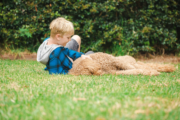 słodkie blondynka pre-teen chłopiec leżący na trawie gra z szczęśliwy groodle pies - Zdjęcie, obraz