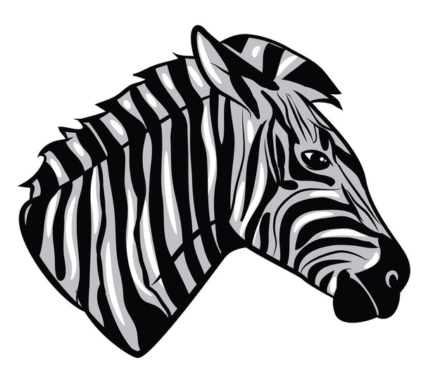 Zebra Head - Vektor, Bild
