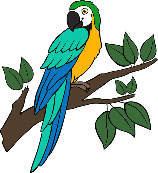 Cartoon birds. Parrot yellow macaw sits on the tree branch and smiles. - Vector, afbeelding