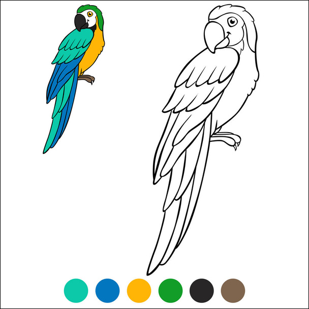 Coloring page birds. Cute happy parrot red macaw sits and smiles. - Vettoriali, immagini