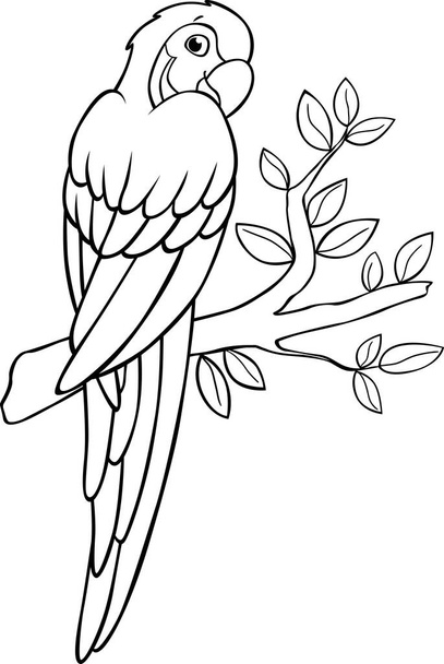 Coloring page. Cute parrot yellow macaw sits on the tree branch and smiles. - Wektor, obraz