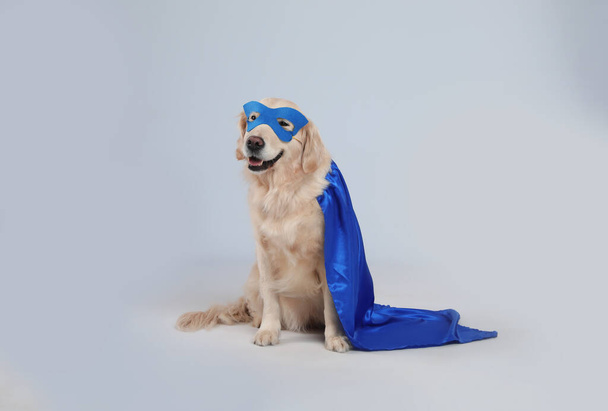 Entzückender Hund in blauem Superhelden-Umhang und Maske auf hellgrauem Hintergrund - Foto, Bild