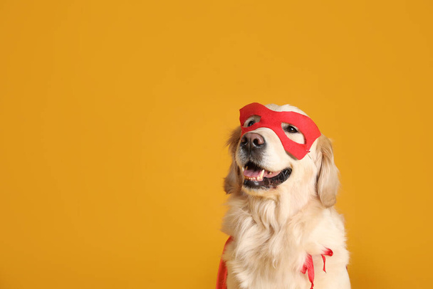Adorable dog in red superhero cape and mask on yellow background, space for text - Foto, Imagem