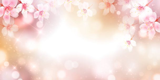 桜の花春の花背景 - ベクター画像
