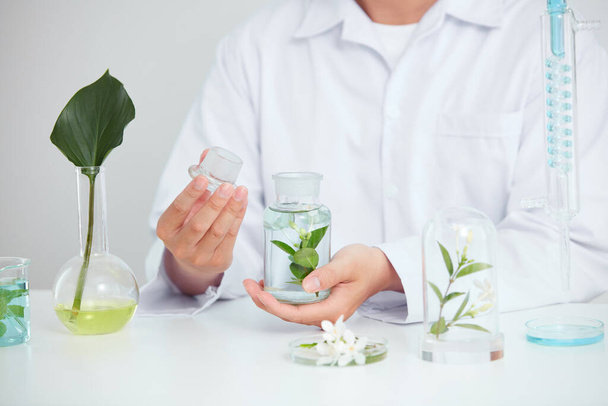 Plants and flowers extract in petri dish and a white background in laboratory , green leaf in a test tube and doctor for cosmetic advertising , photography science concept - Fotó, kép
