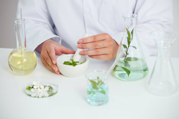 Plants and flowers extract in petri dish and a white background in laboratory , green leaf in a test tube and doctor for cosmetic advertising , photography science concept - Photo, image