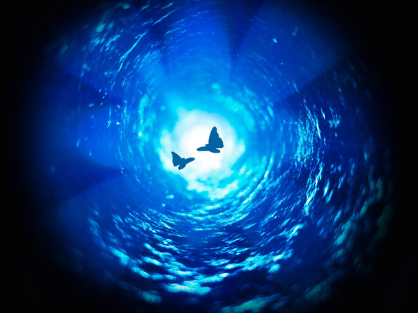 Két pillangó repült az alagútba. Fényes fény a végén egy sötét alagút másolási hely a szöveges. - Fotó, kép