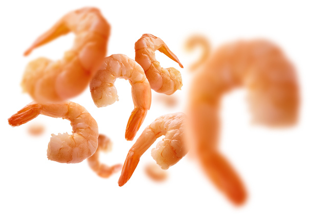 Варёные креветки левитируют на белом фоне - Фото, изображение