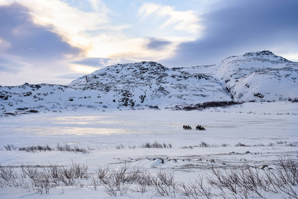 Wybrzeże Morza Barentsa pod koniec lutego. Teriberka, Rosja. Jazda skuterem śnieżnym. - Zdjęcie, obraz
