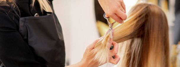 Подстригаю блондинку. Парикмахер стрижет волосы молодой кавказки в салоне красоты. - Фото, изображение