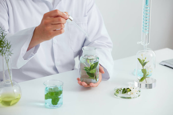 Extracto de plantas y flores en placa de Petri y fondo blanco en laboratorio, hoja verde en tubo de ensayo y científico para publicidad cosmética, concepto de ciencia de la fotografía - Foto, imagen