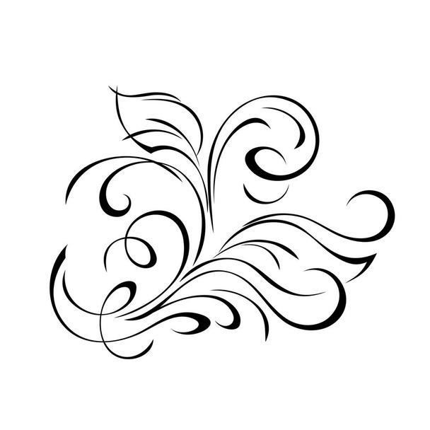 decorative element with stylized leaves and curls. graphic decor - Vektor, kép