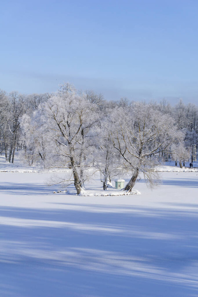 Frosty morning by the lake in the park - Foto, Imagen