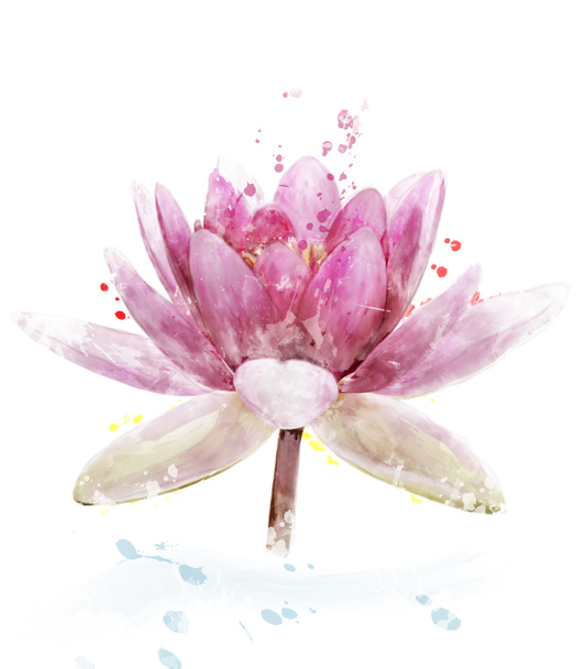 ピンクのスイレンの花の水彩画のイメージ - 写真・画像