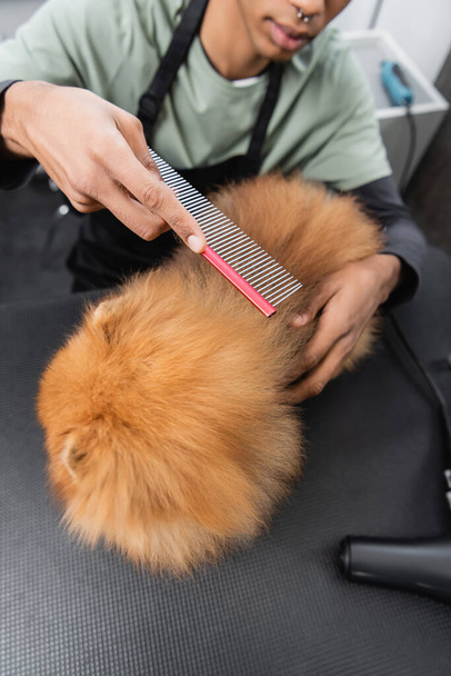 cropped view of african american groomer brushing pomeranian spitz with comb - Fotó, kép