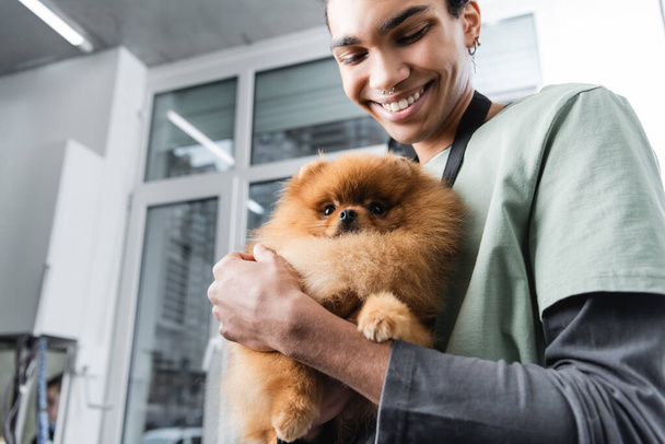 low angle view of young and happy african american groomer holding fluffy spitz - Photo, Image